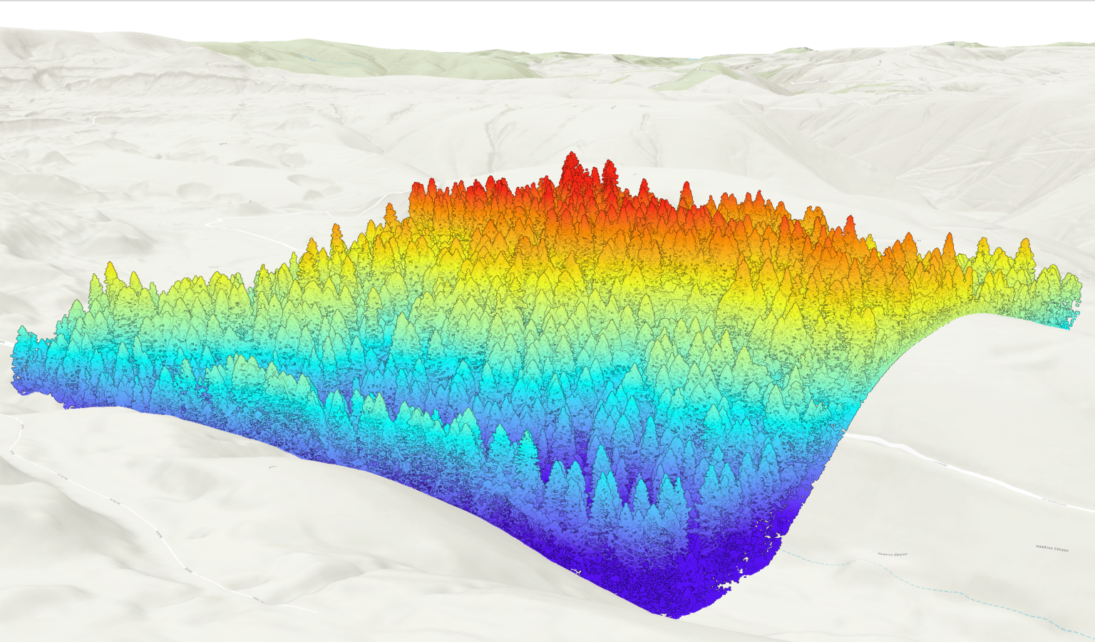 LiDAR Scan of Forest